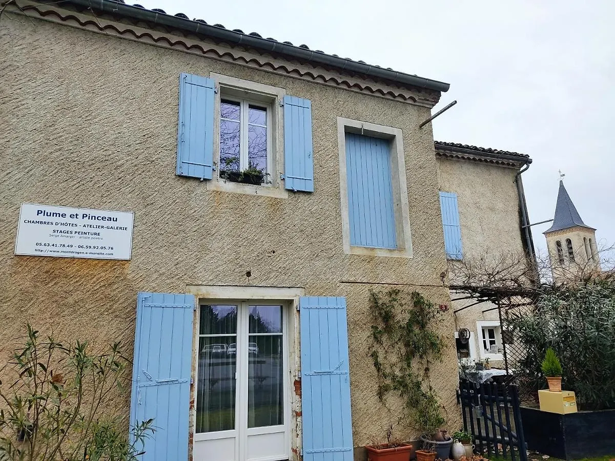 Montdragon Plume Et Pinceau B&B 프랑스